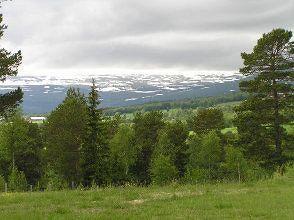 Gjesteheim Havdal Мини-отель 2*